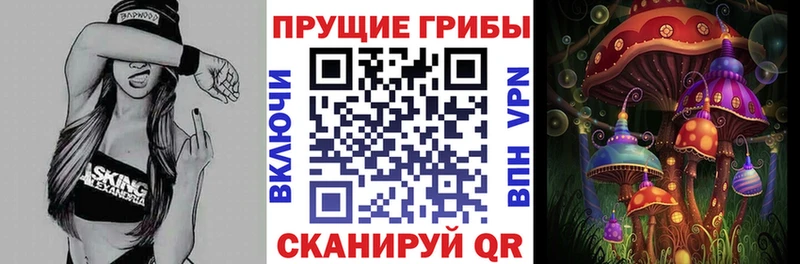 купить  сайты  Апшеронск  Псилоцибиновые грибы мухоморы 
